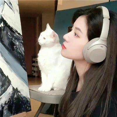 猫和老鼠：魔法戒指