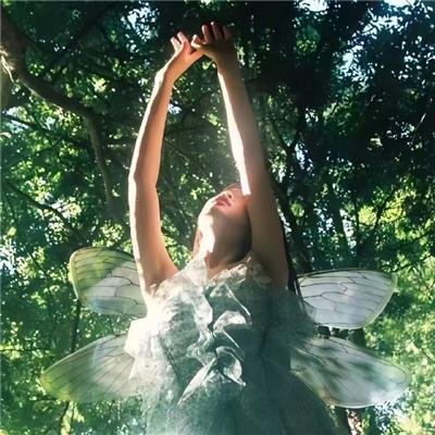 电视剧精选